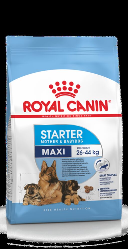 Royal Canin Maxi Starter 15kg